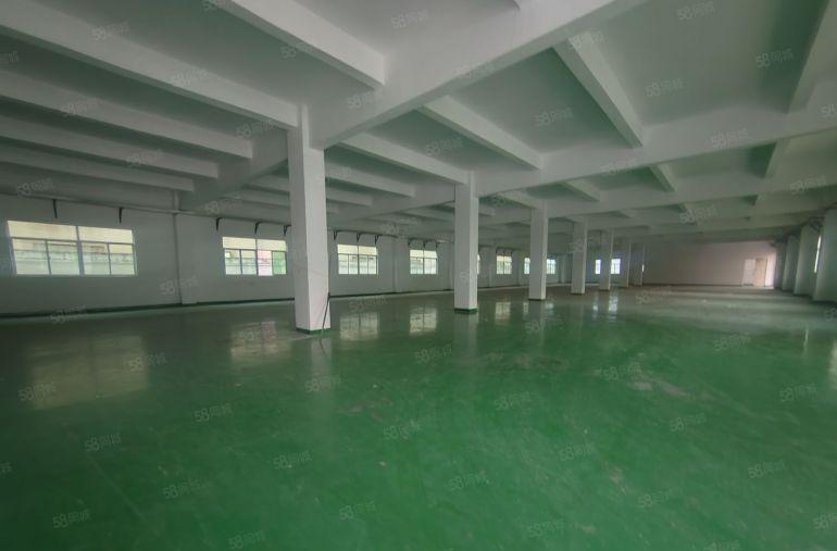 龙岗坂田2000平方标准厂房1000平方可分租