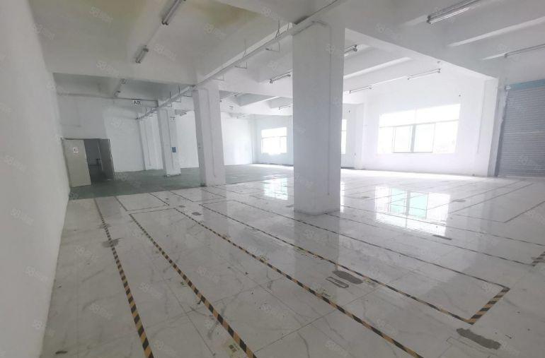 龙岗新生原房东工业园新出一楼二楼1200平精装修厂房出租分租