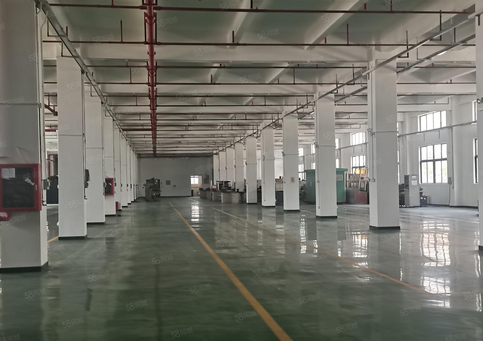 2500平起分龙岗宝龙独栋10000平厂房出租一楼层高6米