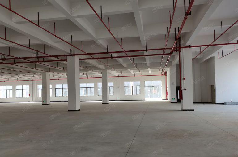 20元低价起租平湖富民工业园区内楼上1000平带装修厂房出租