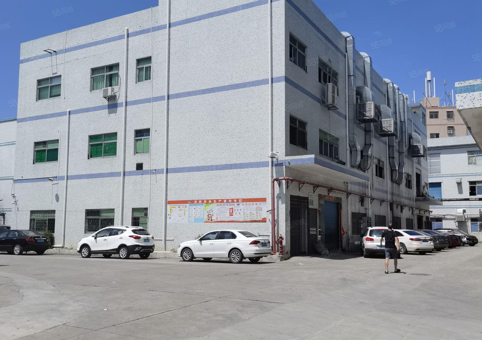 横岗大康新出原房东1300平方，一楼厂房