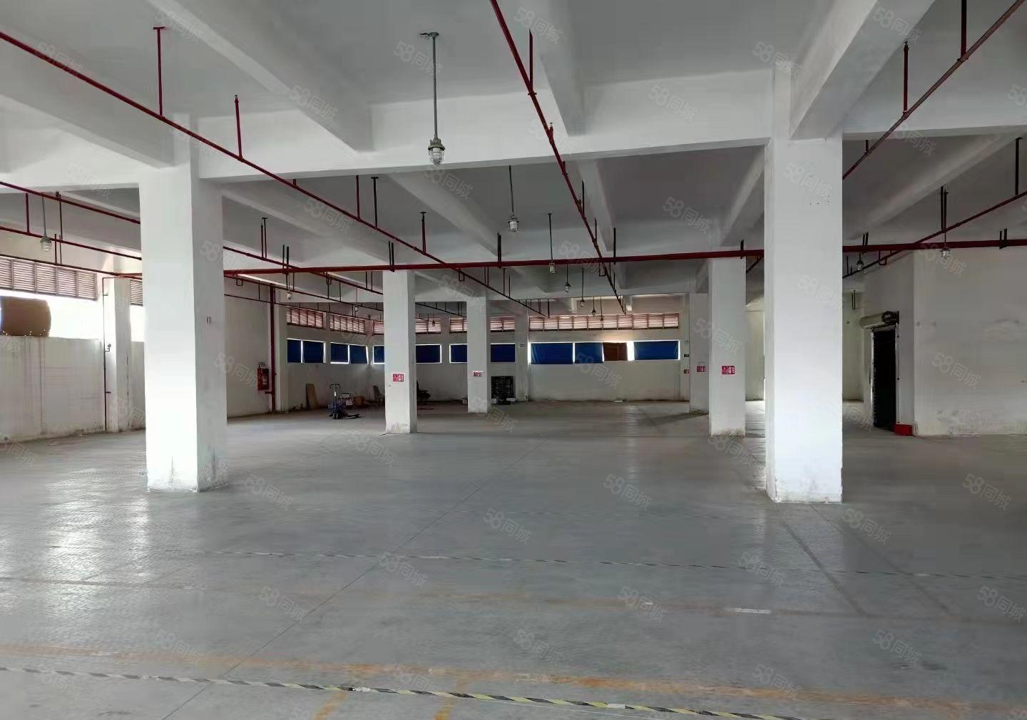 平湖白泥坑海吉星物流园边上了5米高1楼1500平方出租可分租