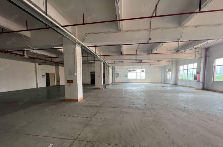 龙岗中心城南联工业区红本厂房仓库495平出租场地大易招工