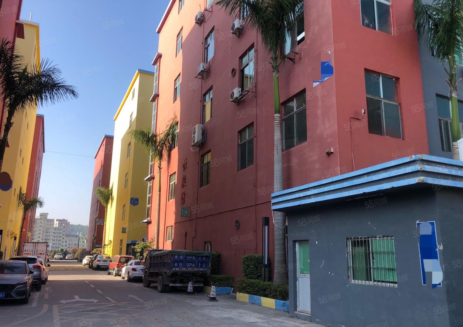 横岗地铁口电商园新出房源280平精装办公仓库招租