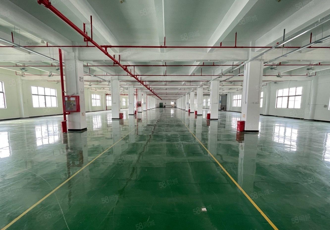 16元起龙岗新生工业园960平楼上一楼厂房仓库出租2吨货梯