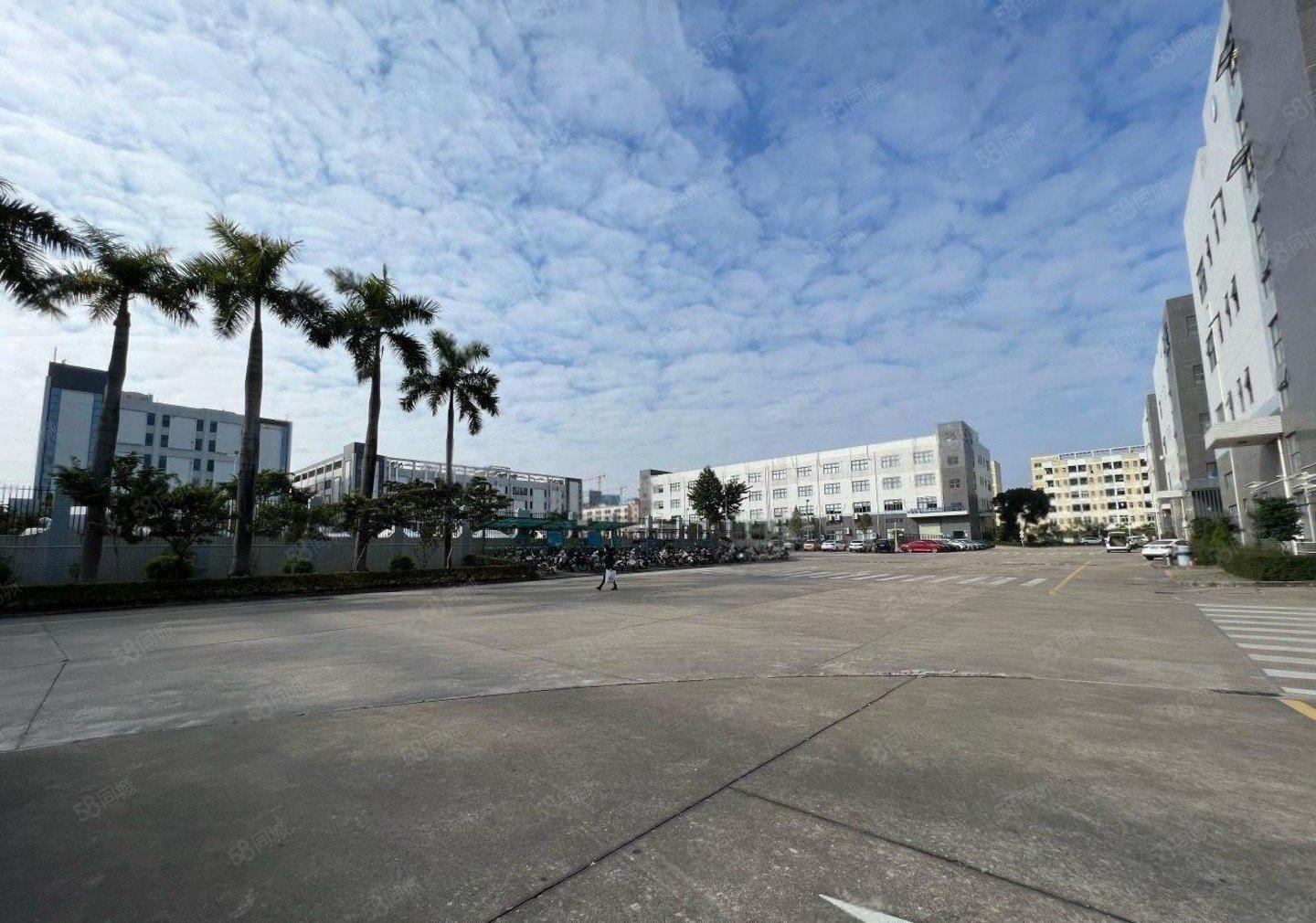 龙岗宝龙一楼2000平带装修厂房仓库出租可分租楼上5000平