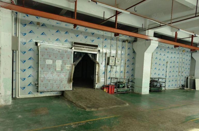 坂田杨美地铁口一楼仓库带冻库400平 原房东使用率高