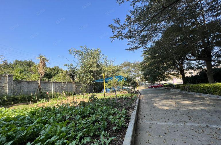 龙岗同乐工业园原房东低价独院厂房出租现成装修空地大