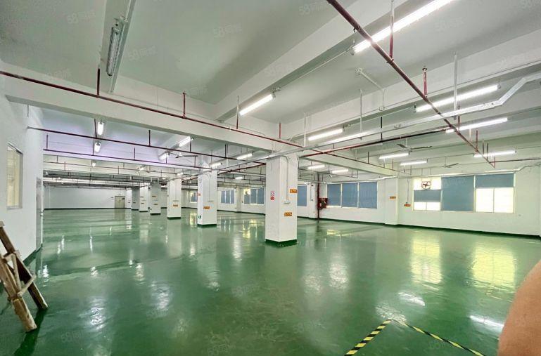 （厂房出租）岗头厂房3楼面积1200平出租户型方正采光好