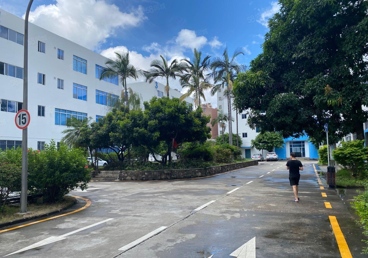 坂田雪象独栋5000平精装修厂房出租适合电商仓库可分租