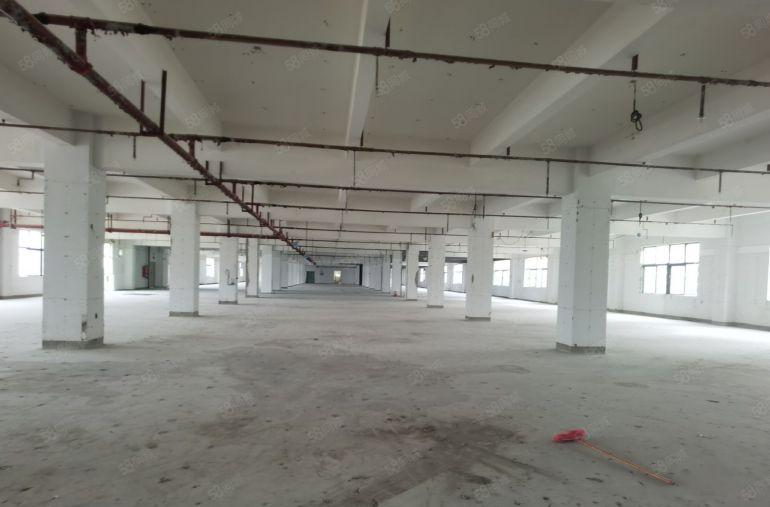 龙岗宝龙科技园原房东红本独院厂房仓库7000平出租一楼层高6