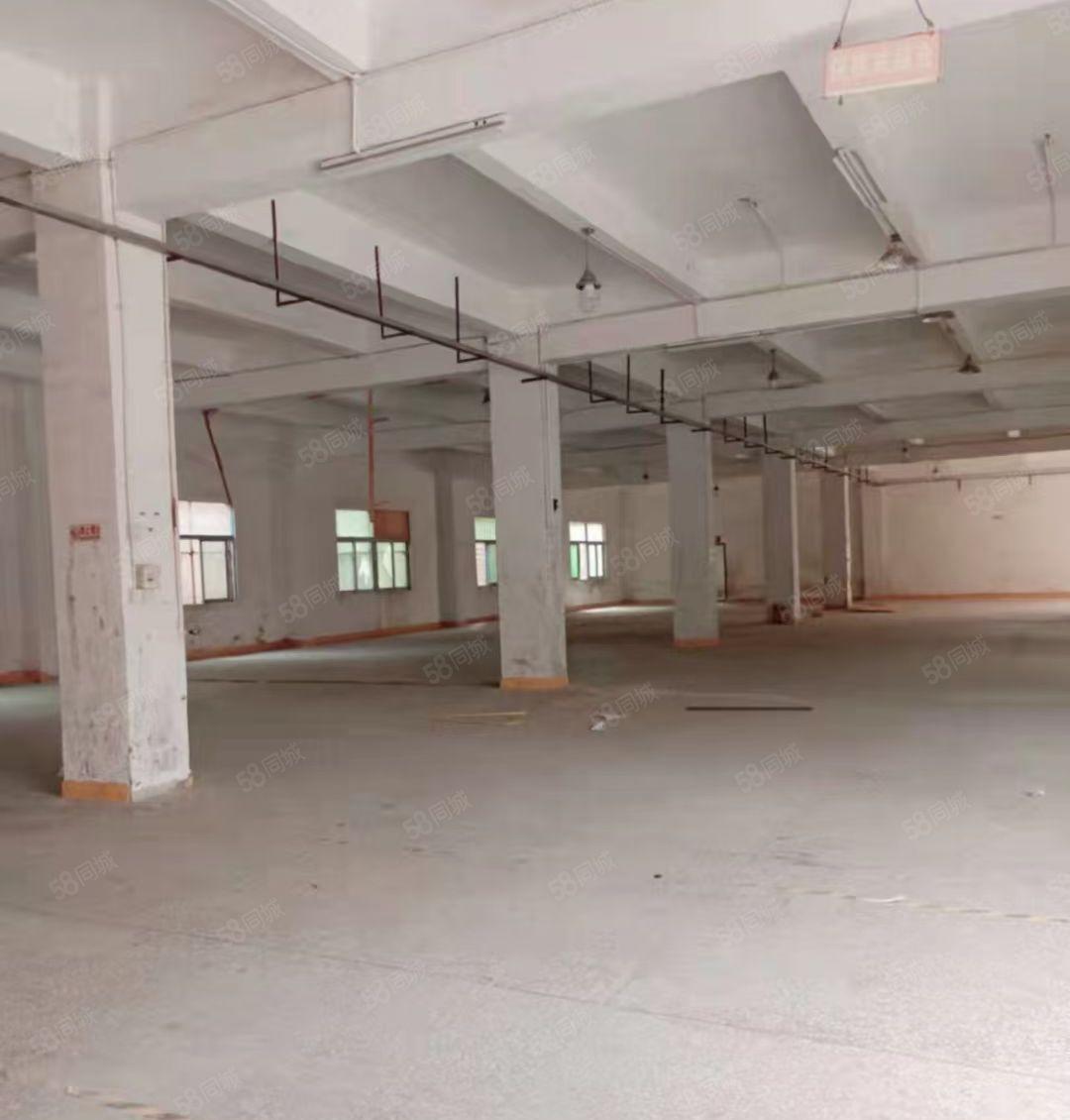 龙岗中心城爱联一楼厂房400平方710平方租金23元一平方