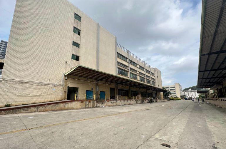 平湖物流仓库基地5000平起带卸货平台，消防喷淋超大空，红本