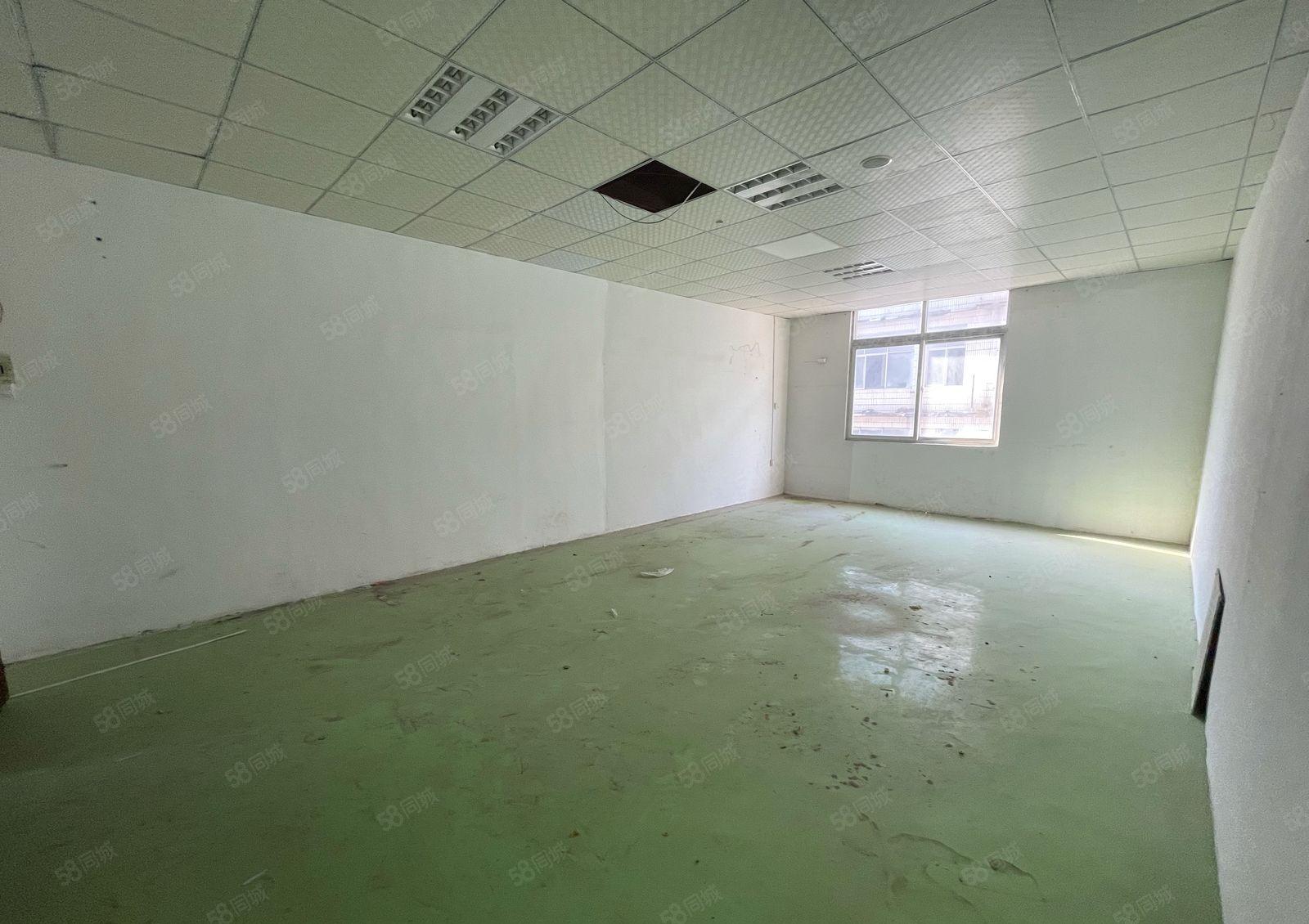 坂田350平米厂房出租，不限行业