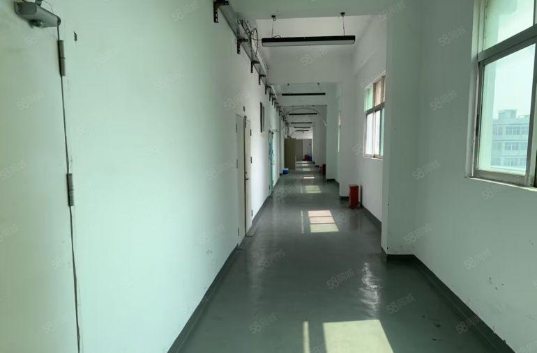 房东招租龙岗上李朗莱茵工业区直租437平送免租特价17元