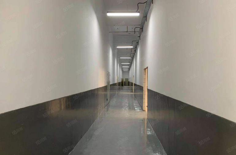 坂田贝尔路200平厂房带装修配空调办公仓库一体低价出租