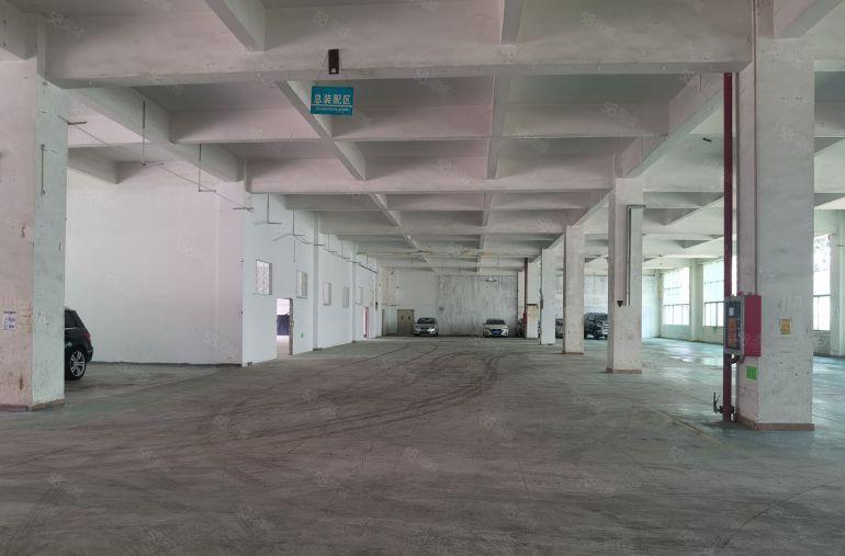 龙岗中心城龙西原房东红本独院厂房仓库1950平出租层高6米