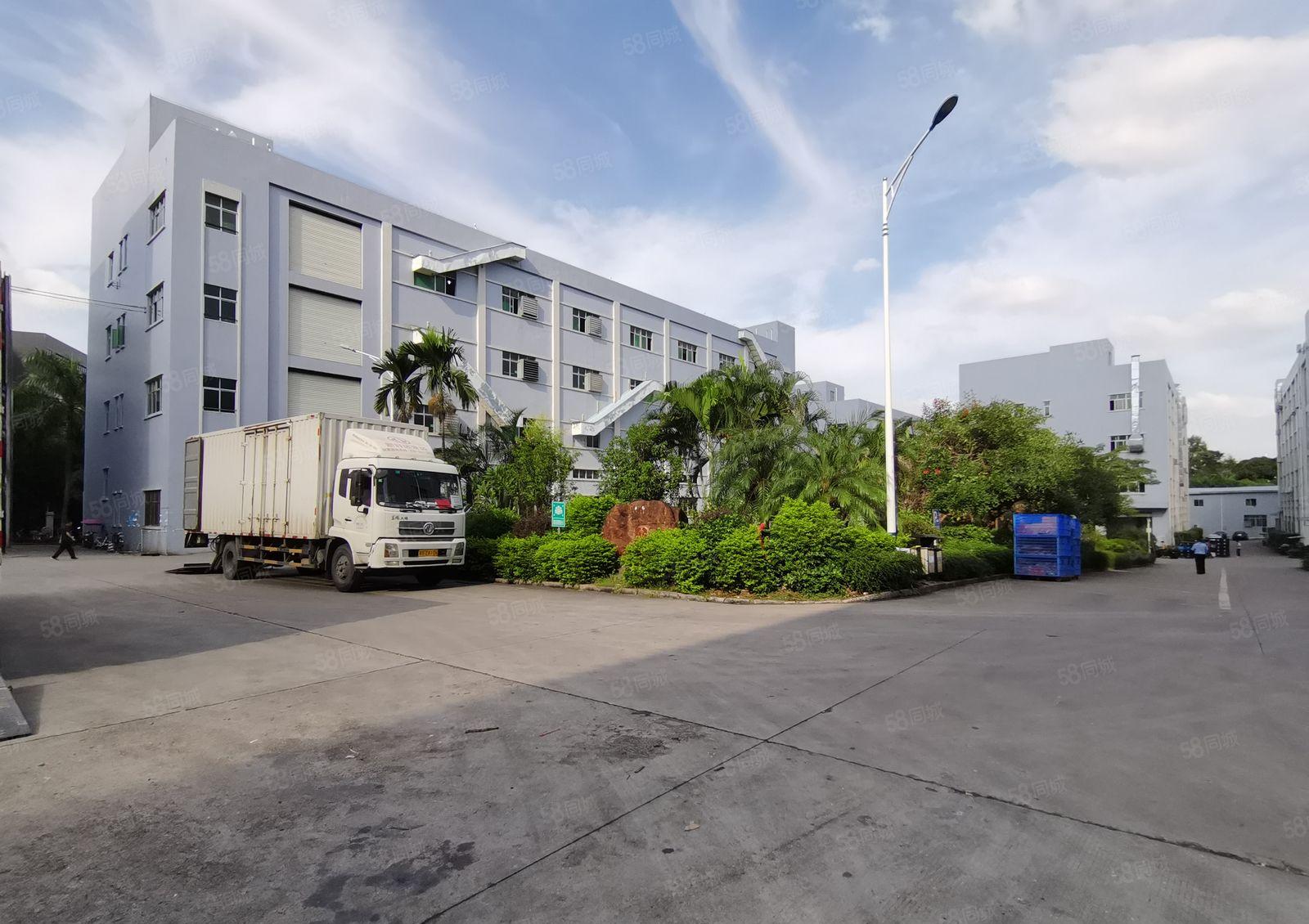 500平起租坂田上雪工业园带精装修电商办公室一楼仓库厂房出租