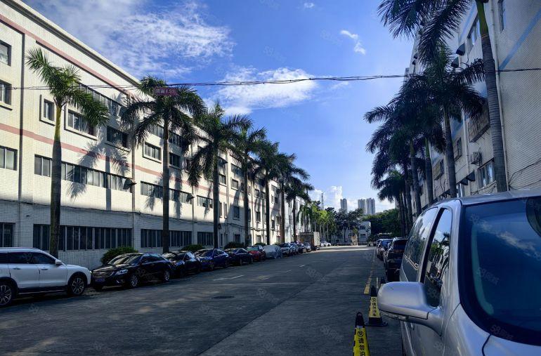 横岗地铁站吉祥科技园原房东一楼1000平厂房仓库出租大小可分