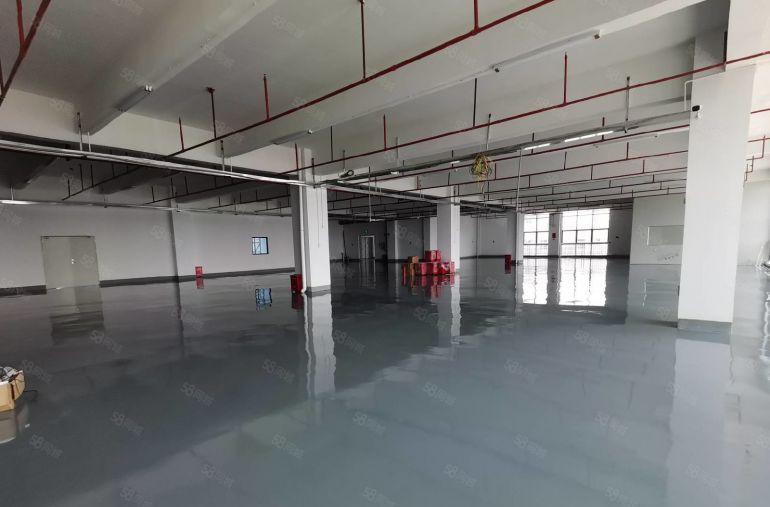 龙岗宝龙原房东工业园新出单层面积3200平厂房出租可分租一楼