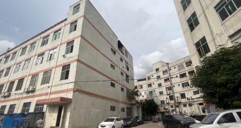 坂田原房东实际面积一层1200平厂房低价出租 带装修仓库出租