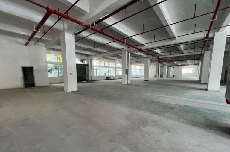 坂田布吉杨美地铁口一楼楼上300平方起租精装办公厂房仓库出租