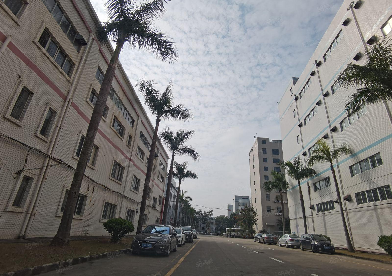 龙岗宝龙原房东独栋两层8000平仓库厂房出租，带卸货平台