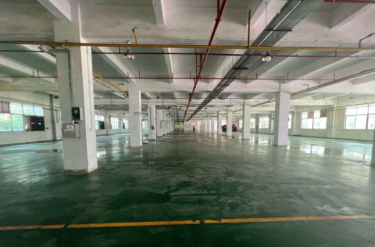 龙岗宝龙科技园原房东独院厂房仓库1500平出租场地大易招工