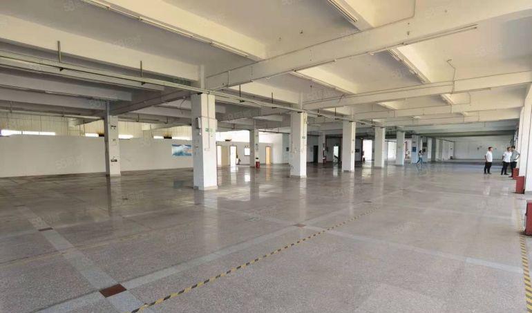 横岗六约工业区12000平独院厂房出租，可办环评，可分租