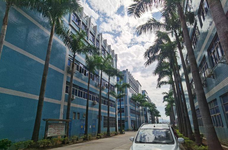 龙岗宝龙19元原房东工业园2楼整层2000平实际面积出租