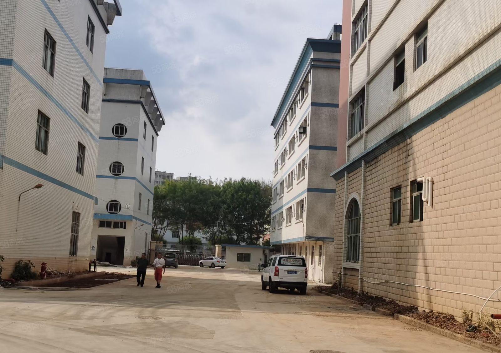 龙岗中心城独栋二栋厂房各6800m2一栋12500m2分租