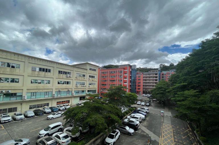 横岗服装厂房出租1000平带办公室小分租300平行业不限