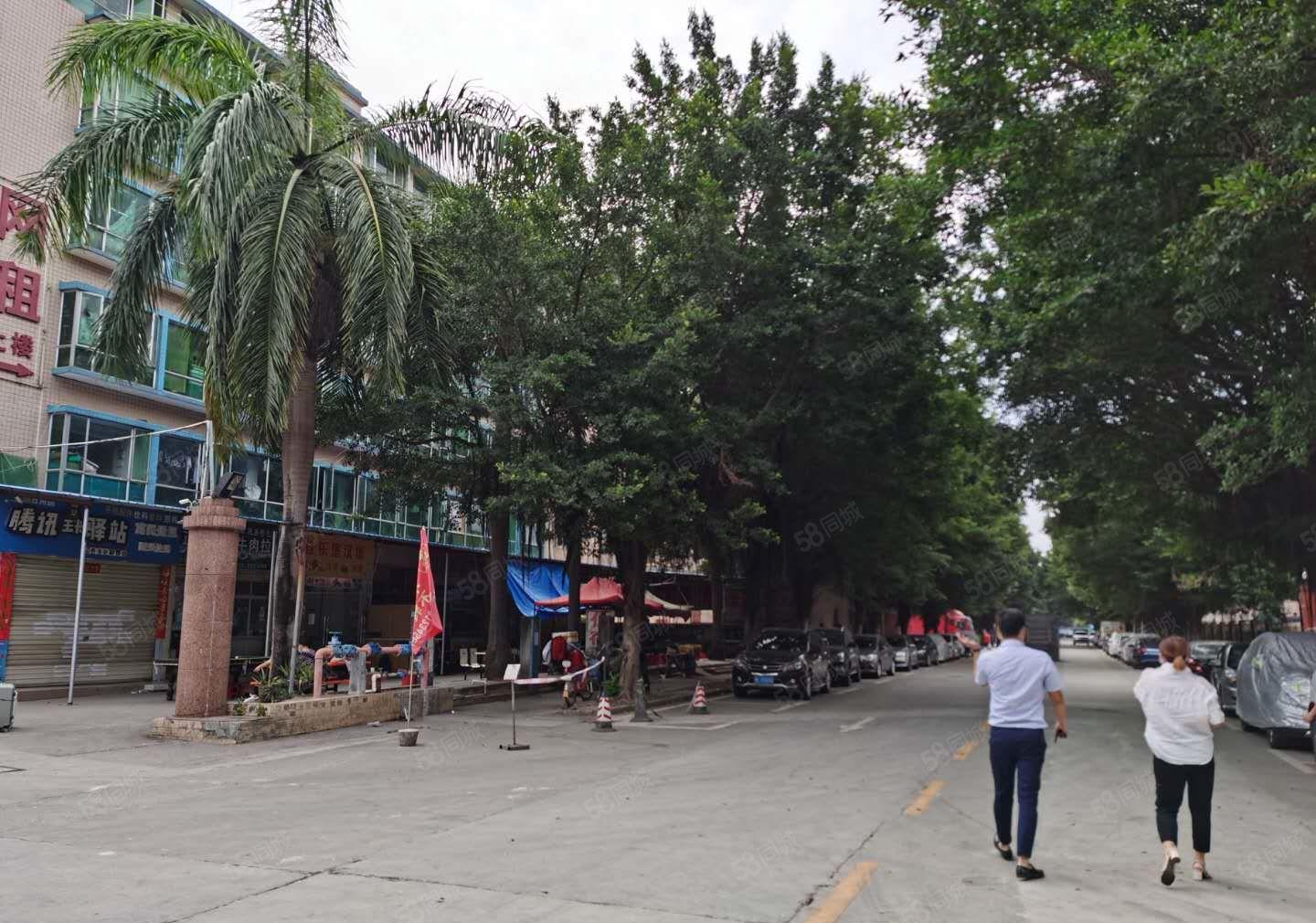 23元起租华南城旁独院厂房出租仓库招租易招工交通便利