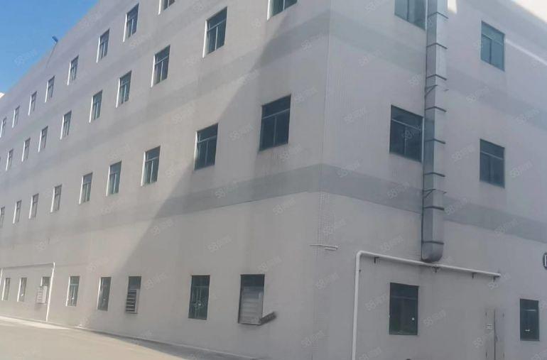 （出租）惠阳高端产业园 8台电梯 首层高6米 独立卸货台