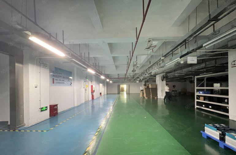 宝龙原房东实际面积厂房出租2500平方起分租含税管理费好招工