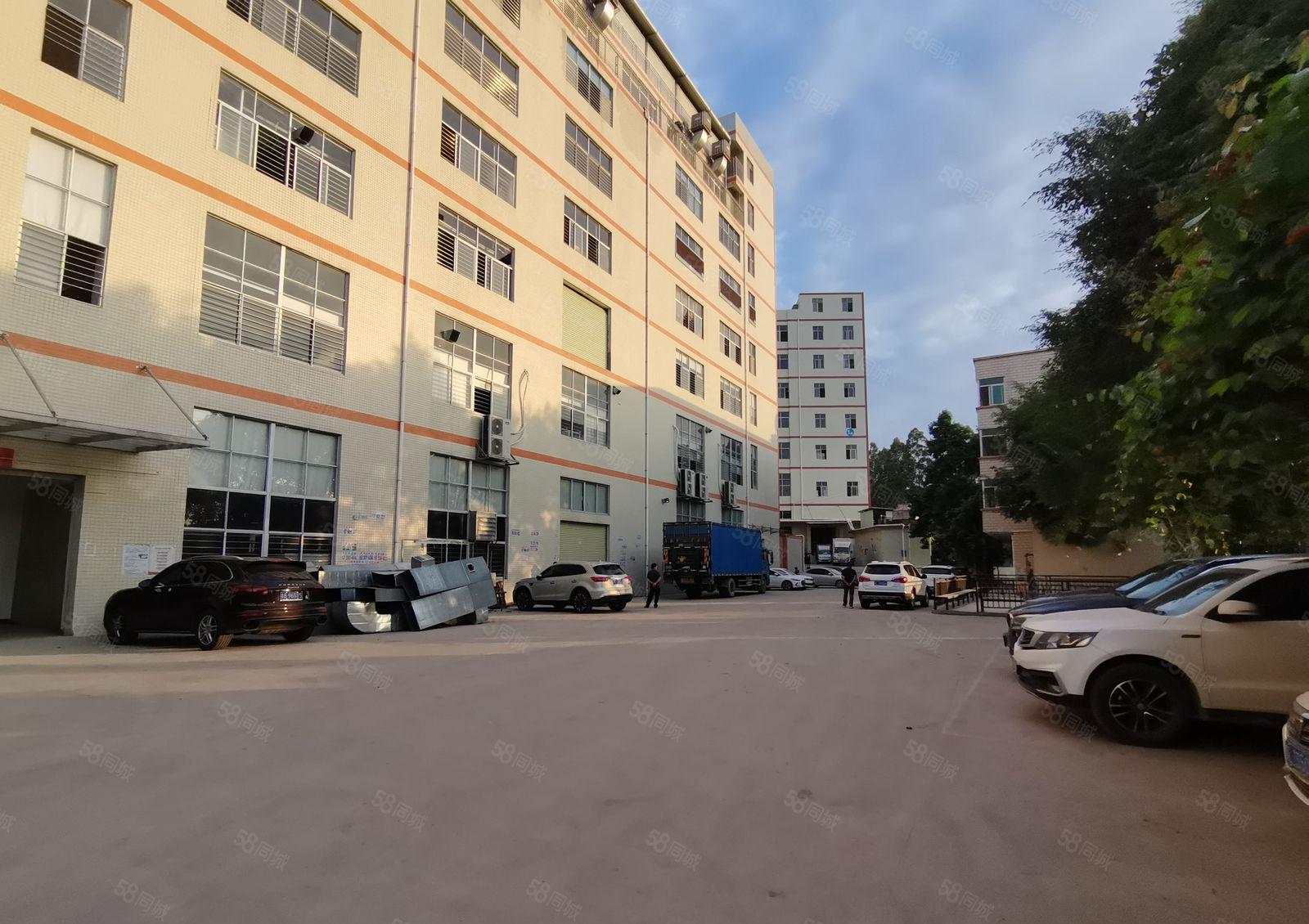 龙岗南联地铁口旁原房东800平厂房出租200平起租公摊小