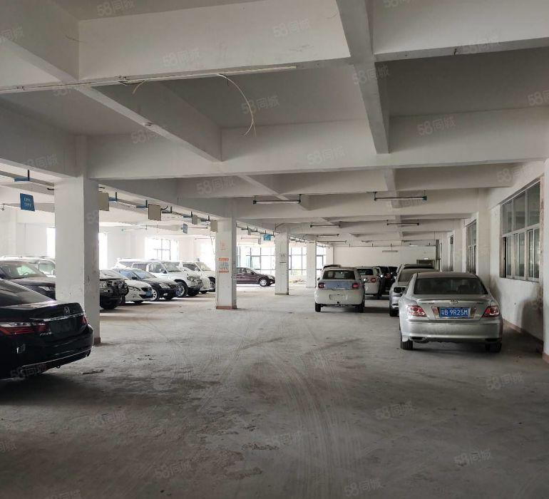 龙岗汽车城厂房二手车市场，4S店，汽车售后，展厅等汽车行业