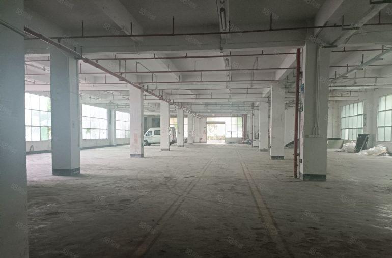 龙岗坪地中心村一楼独门独院1300平带2000平的独立院子