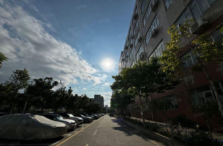 坂田地铁口原房东厂房出租精装修办公室电商仓库300平可分租