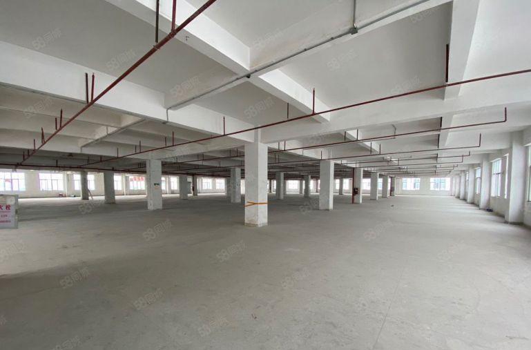 布吉坂田原房东实际面积1000平独栋厂房出租带精装修办公室