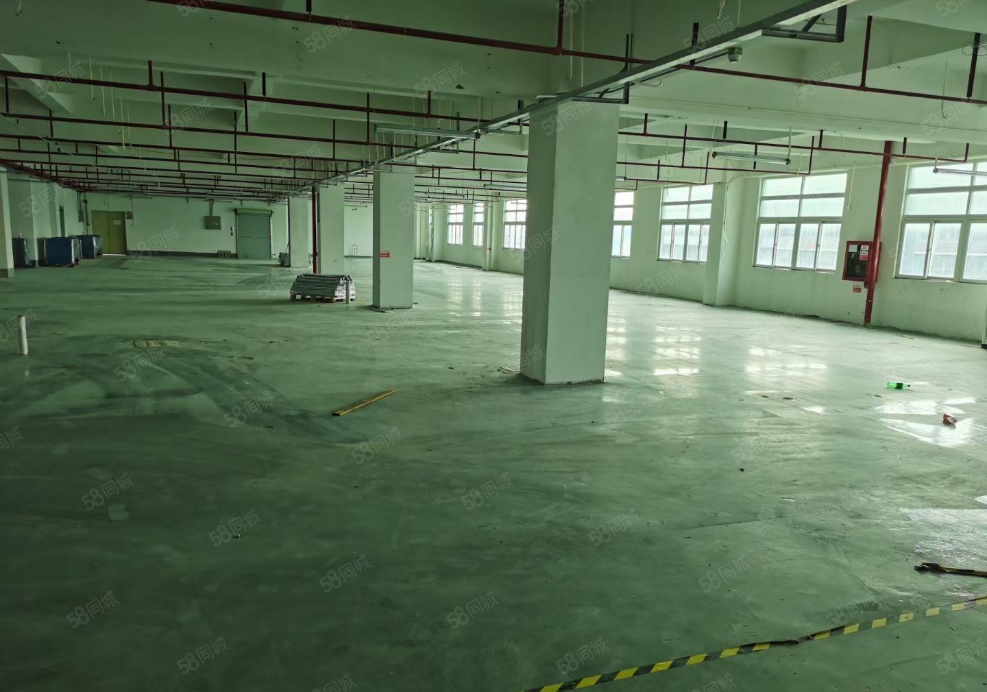 平湖富民原房东独院6000平方带装修厂房出租