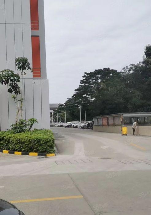 龙岗龙东小独院500平米厂房仓库分租