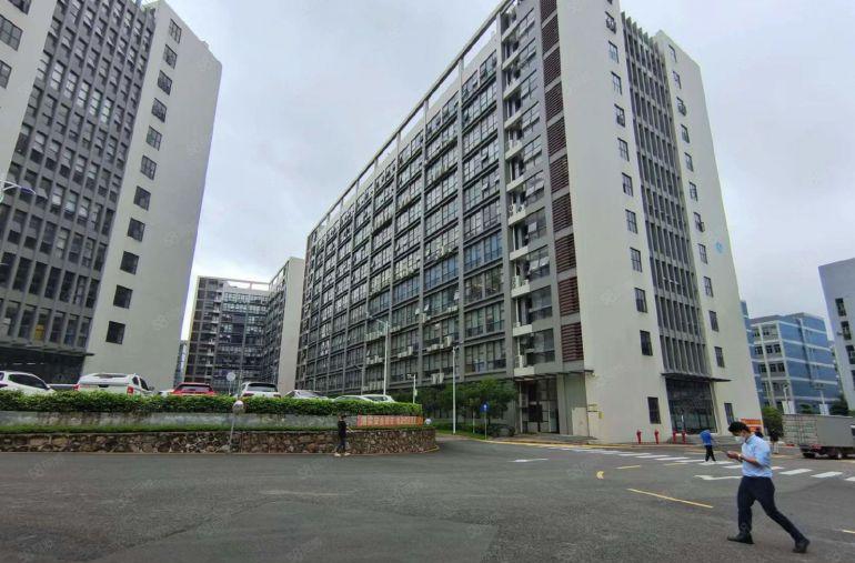 无公摊龙岗宝龙原房东楼上1000平方精装修办公室厂房仓库出租