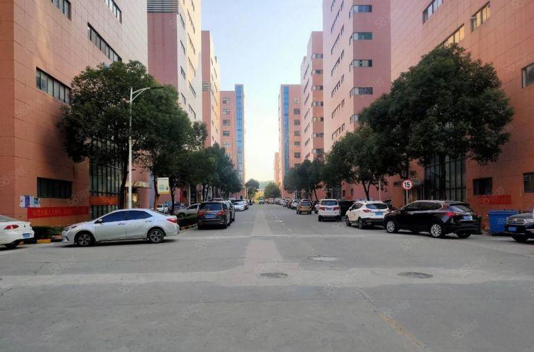 坂田红本工业厂房出租 2000平可分租 工业园一楼仓库出租