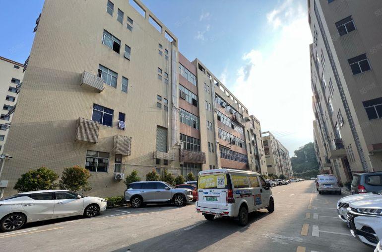 横岗荷坳整层2000平带消防喷淋，500平起分，不限行业