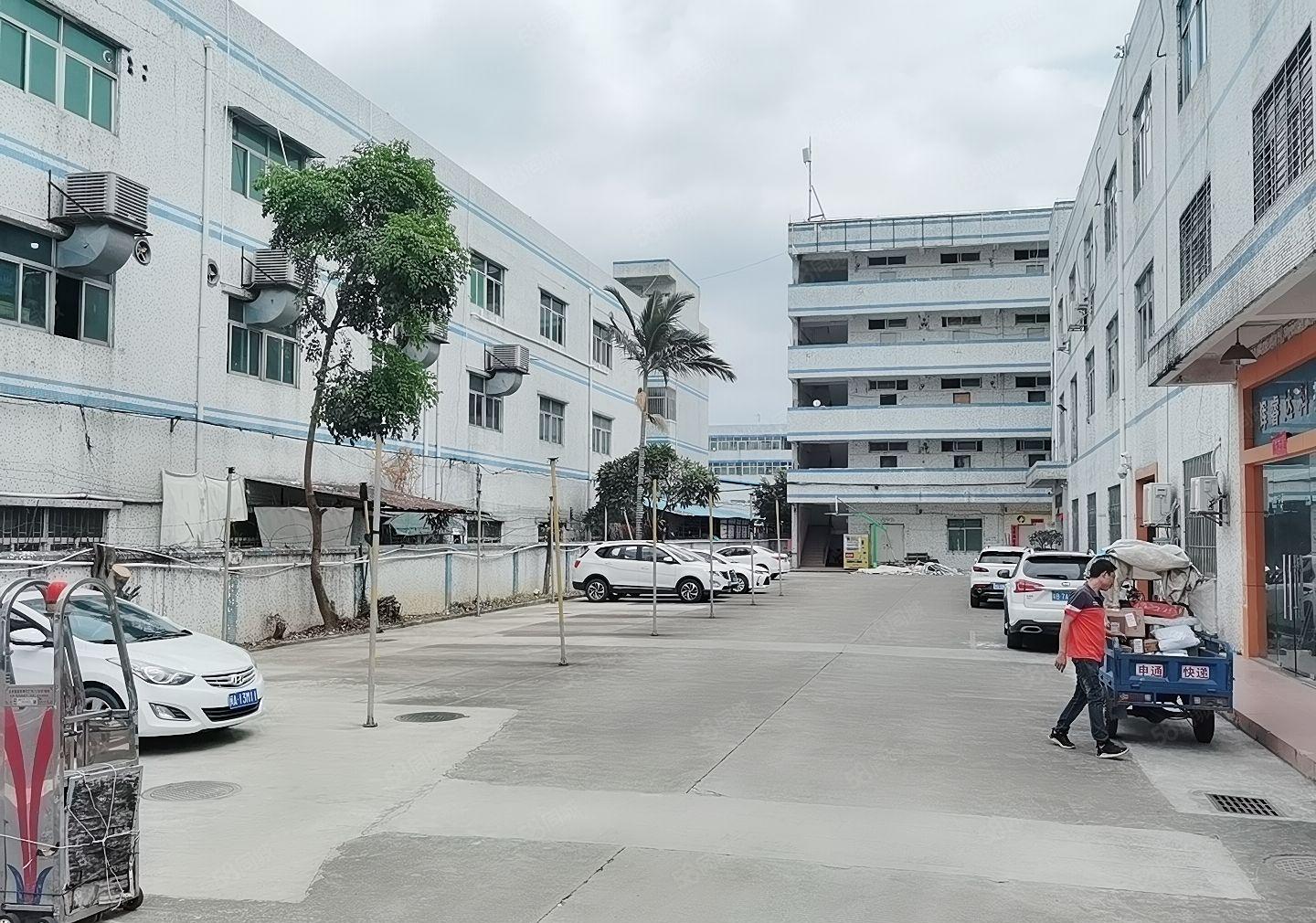 龙岗爱联嶂背新出原房东楼上精装修办公室厂房1000平出租