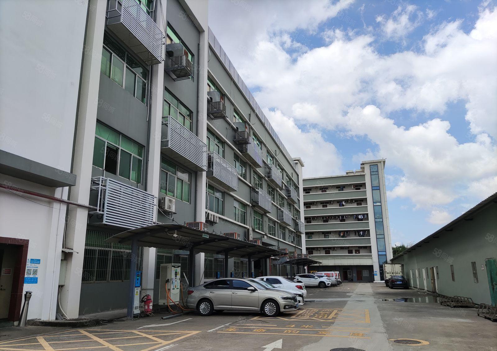 龙岗中心城一楼厂房仓库900平方，大小分租