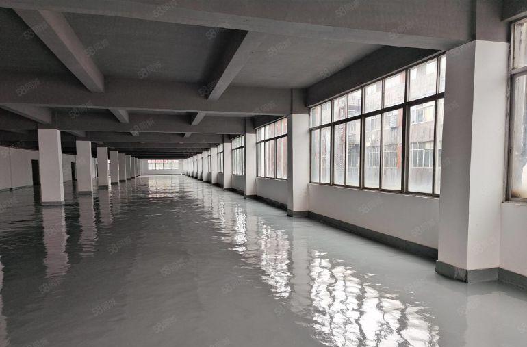 低价！布吉李朗100平起租全新厂房地坪漆原房东红本可加工行业