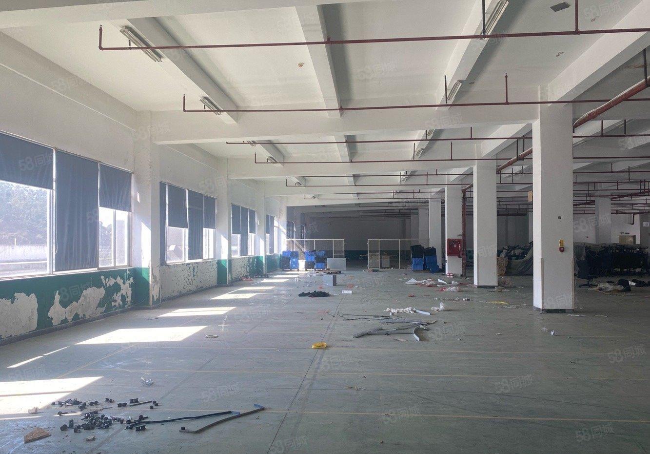 龙岗宝龙原房东楼上5002000平仓库厂房出租带卸货平台