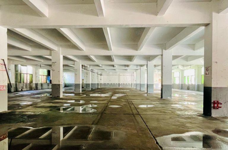 原房东！横岗四联嘉联工业区一楼2200平，公摊小，可分租